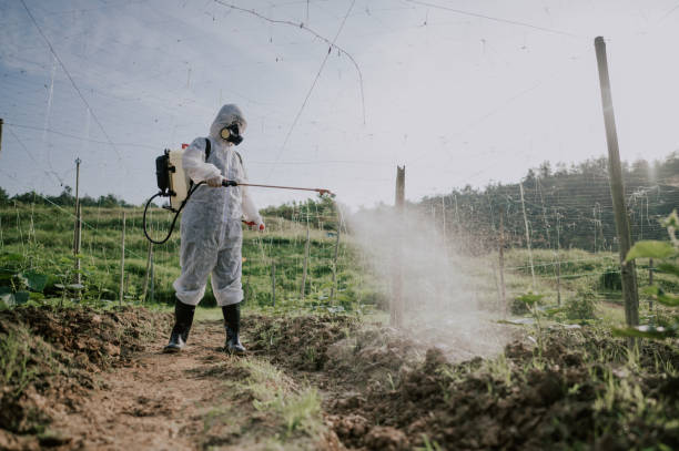 Best Pest Removal Services  in Watertown, TN