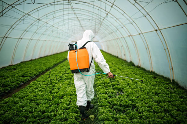Best Pest Prevention Services  in Watertown, TN