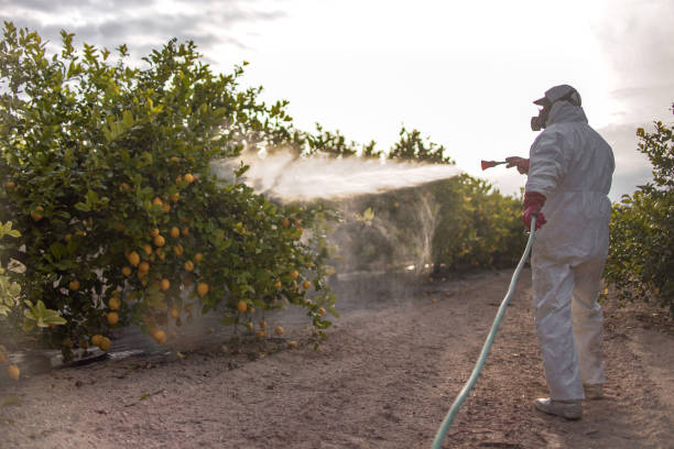Best Insect Control  in Watertown, TN